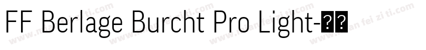 FF Berlage Burcht Pro Light字体转换
